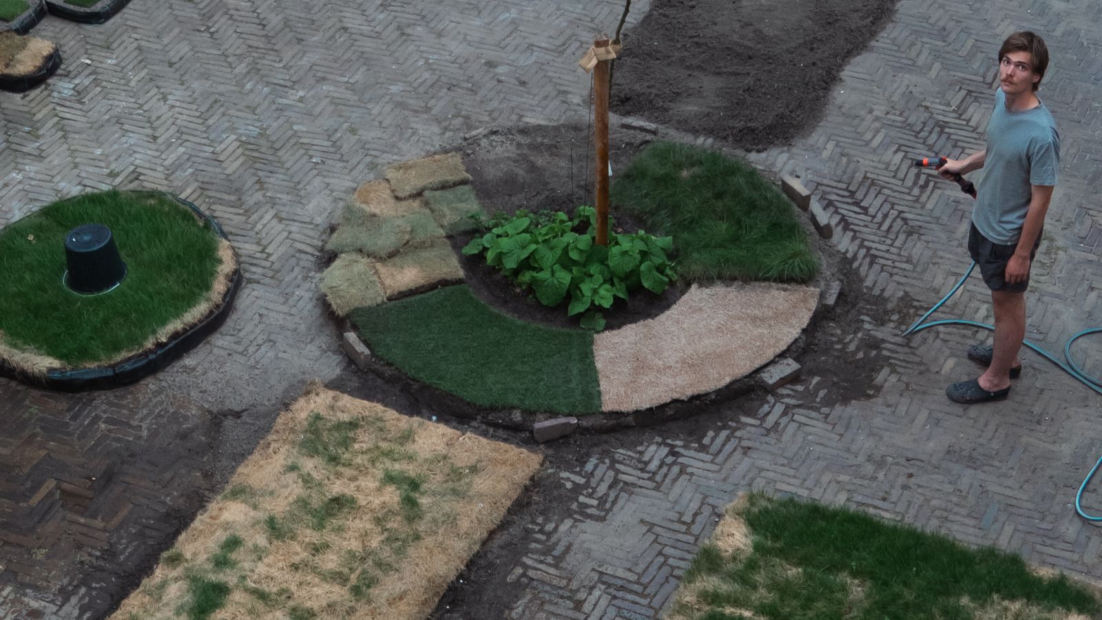 Morris watering and working in the courtyard