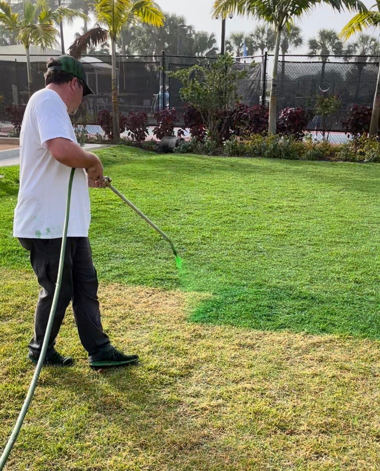 Person painting the grass green