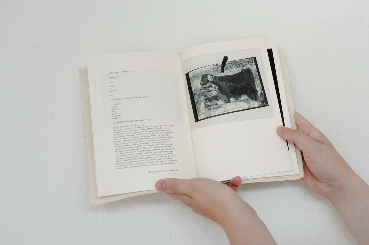 book Interesting Things kabk Salome Erni